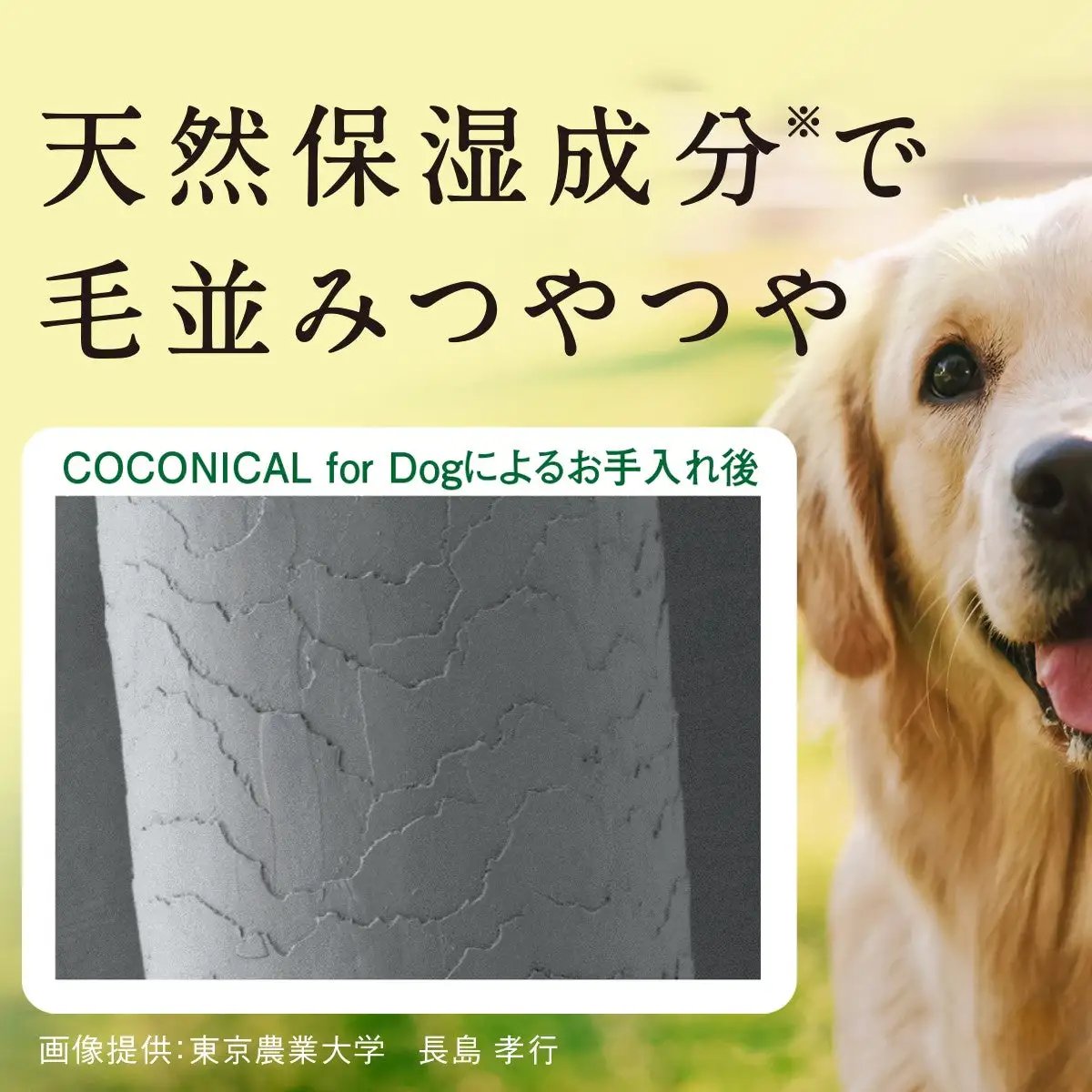 Harumam shops : 絹生活研究所 COCONICAL for Dogシャンプー