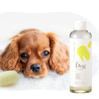Harumam shops : 絹生活研究所 COCONICAL for Dogシャンプー